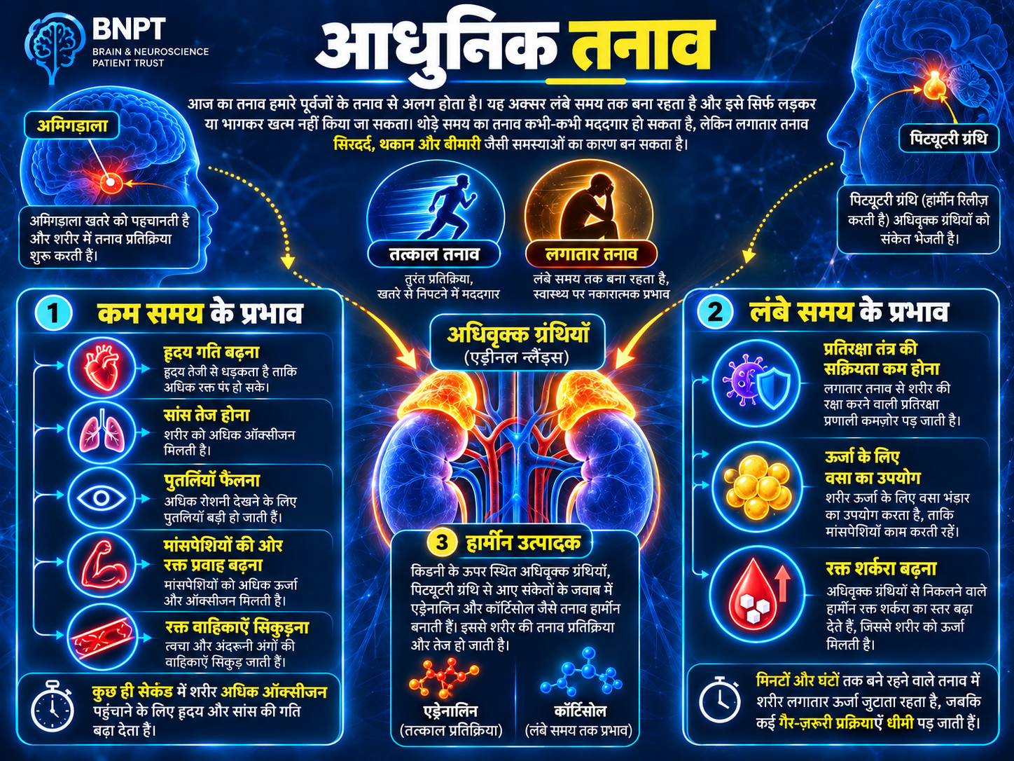 थोड़े समय के तनाव और लंबे समय की तनाव प्रतिक्रिया को समझाता चित्र